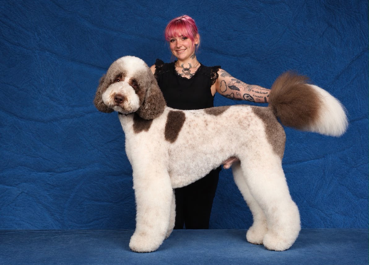 Boston's Groomer team member with a freshly groomed poodle